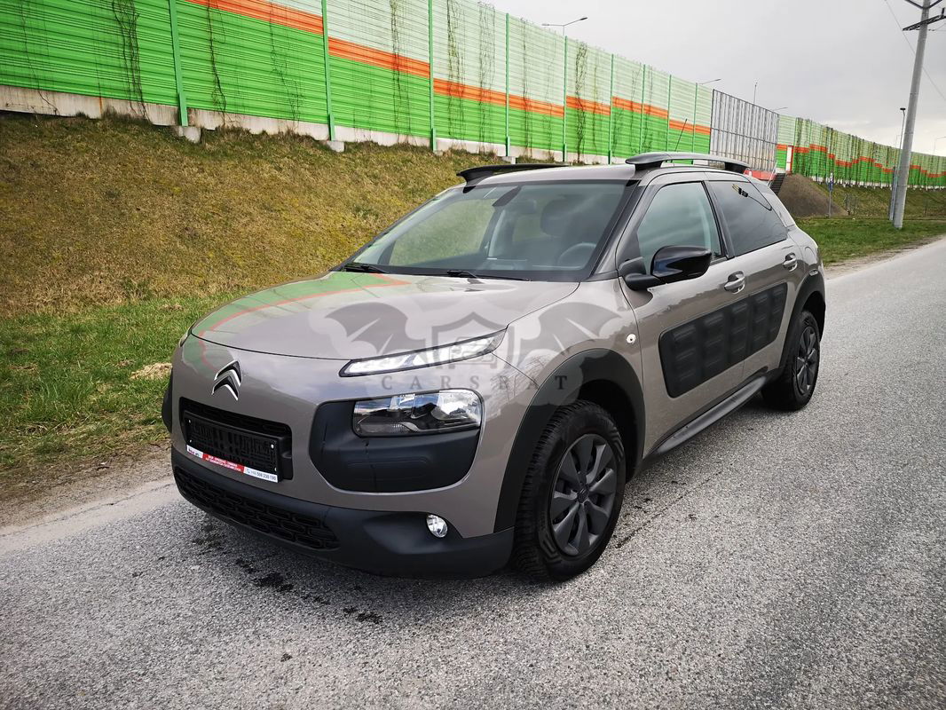 Citroën C4 Cactus 1.6 Blue HDi Shine 2015