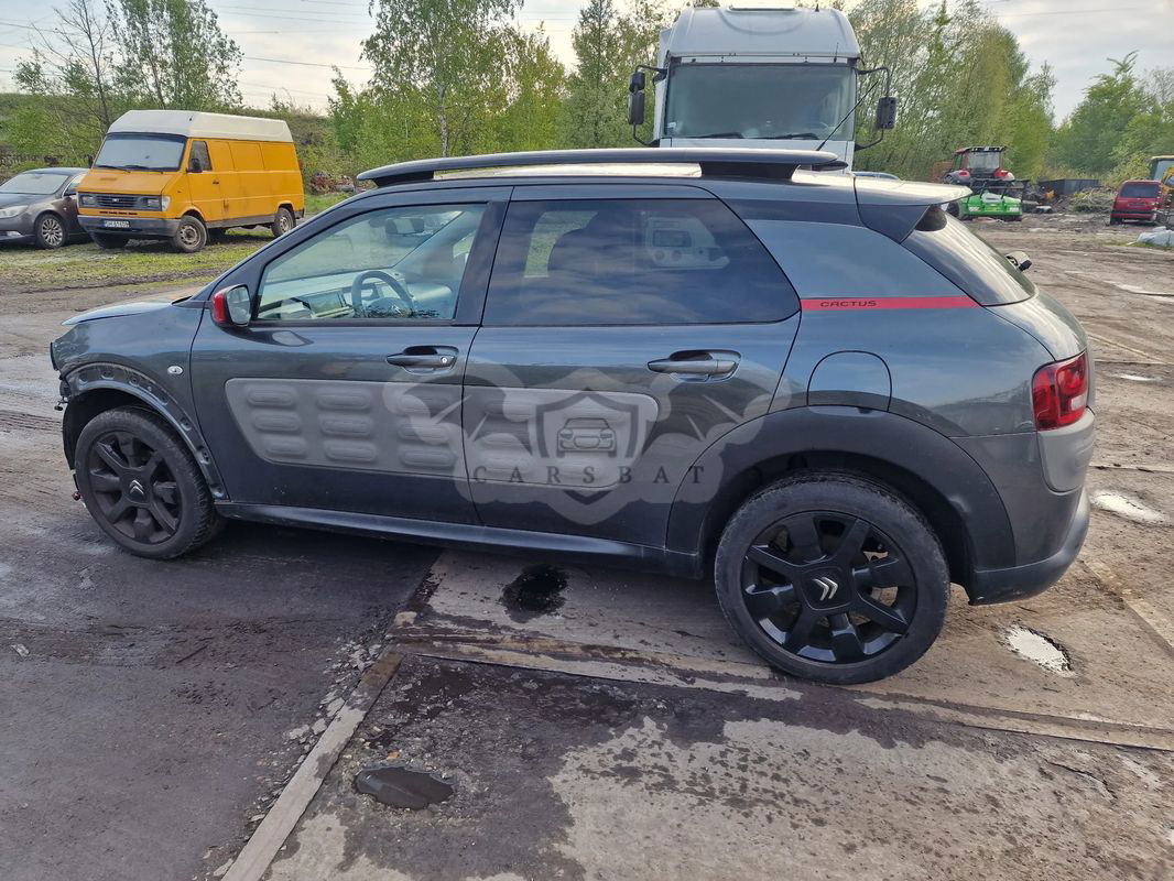 Citroën C4 Cactus 2015