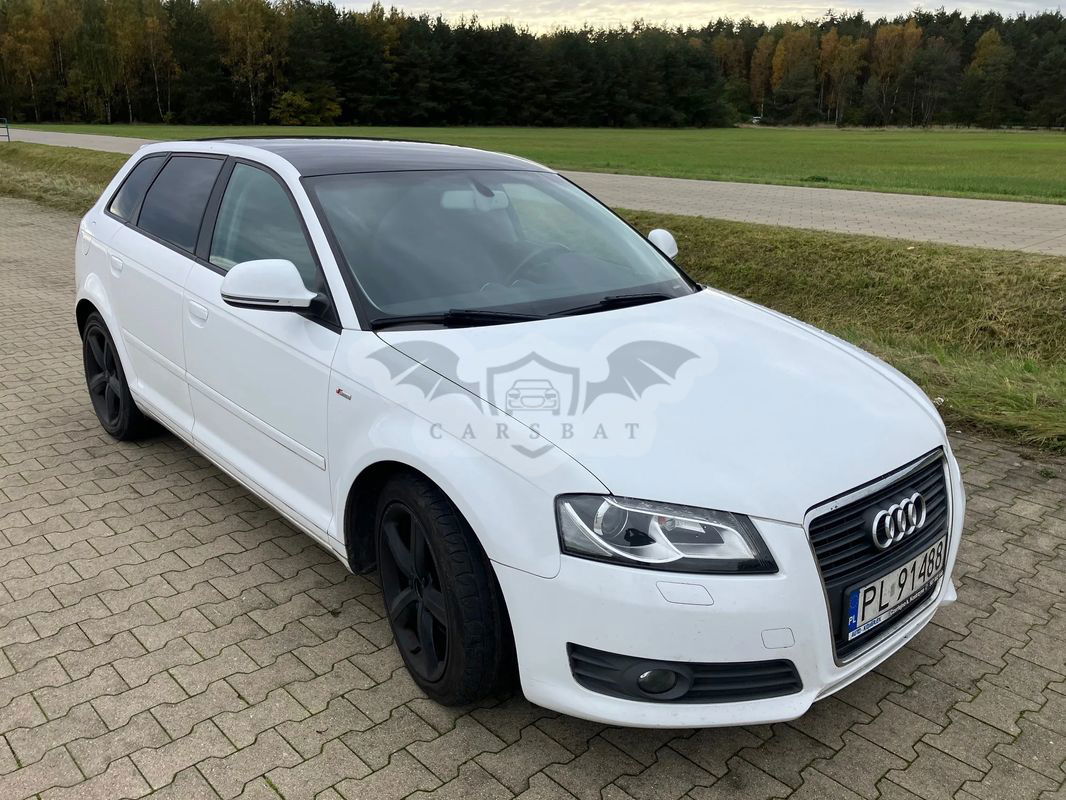 Audi A3 8P 1.6 TDI Sportback S line Sportpaket 2010