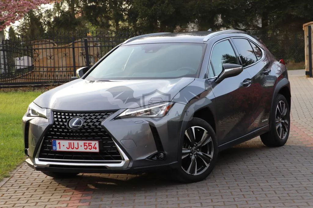 Lexus UX 250h Luxury Line 2020