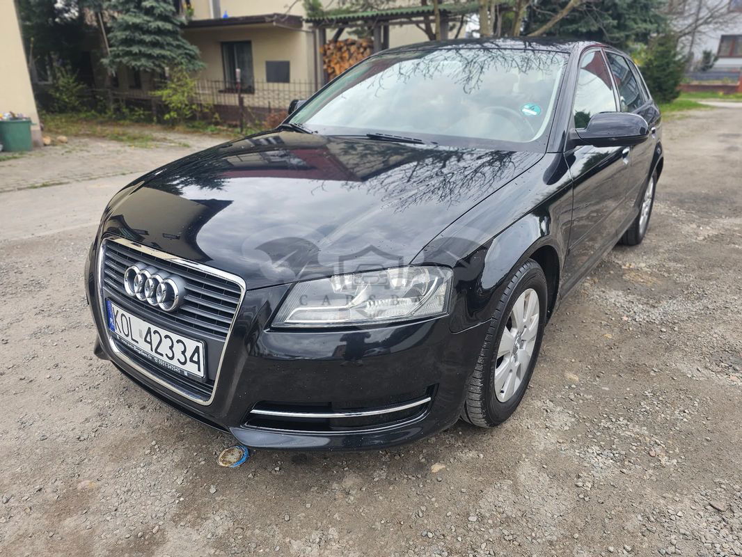 Audi A3 8P 1.6 TDI Sportback DPF Ambition 2010