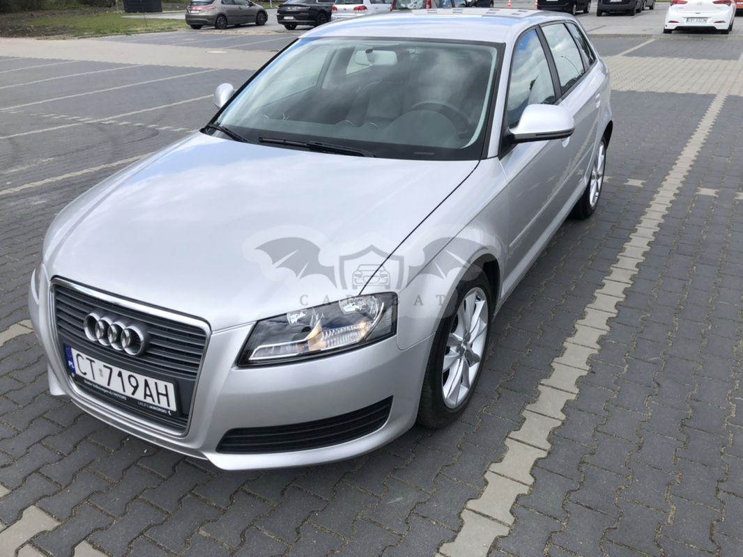 Audi A3 8P 1.6 TDI Sportback DPF Ambition 2010