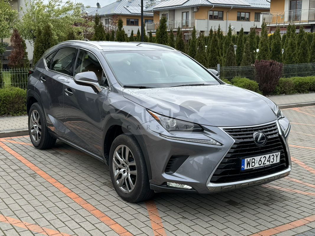 Lexus NX 300h Business Line 2020