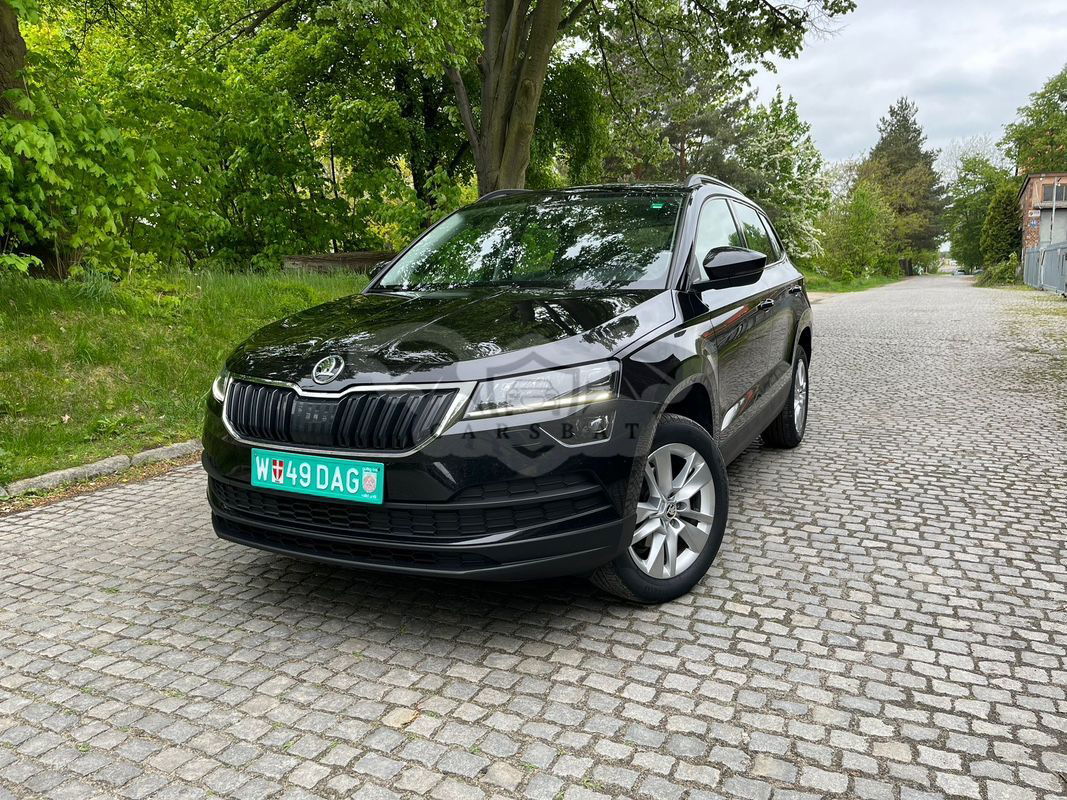 Skoda Karoq 1.6 TDI SCR 4x2 Ambition DSG 2019
