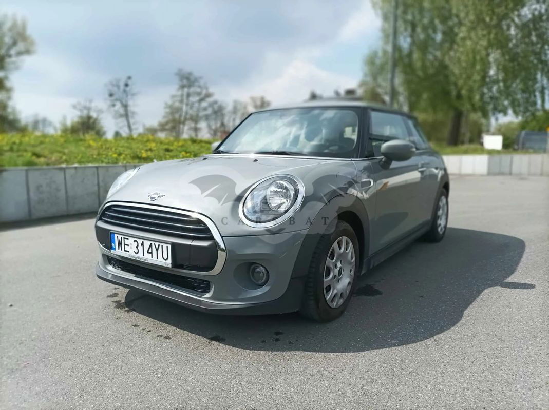 Mini One GPF 2020
