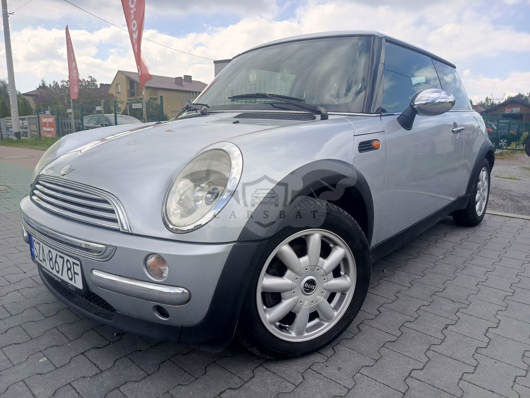 Mini One salt 2004