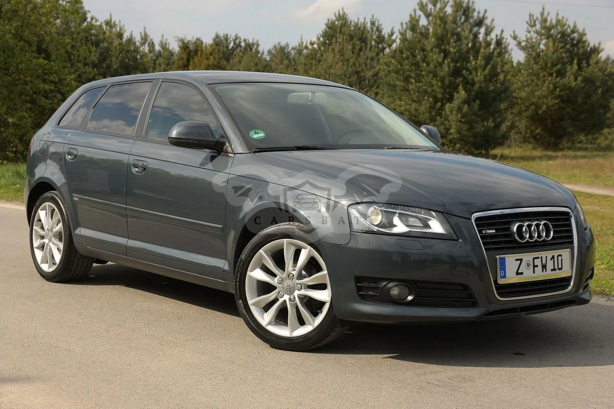 Audi A3 8P 1.9 TDI DPF Attraction 2010