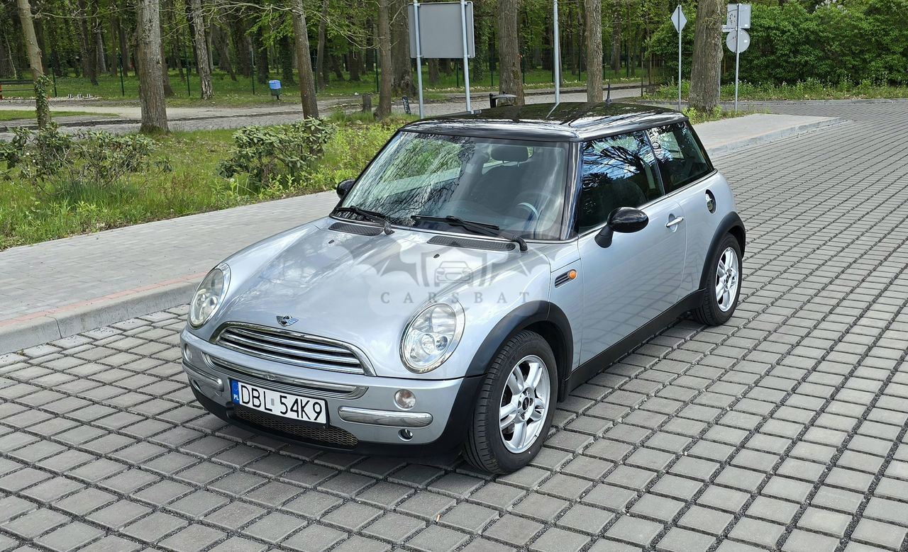 Mini One salt 2003