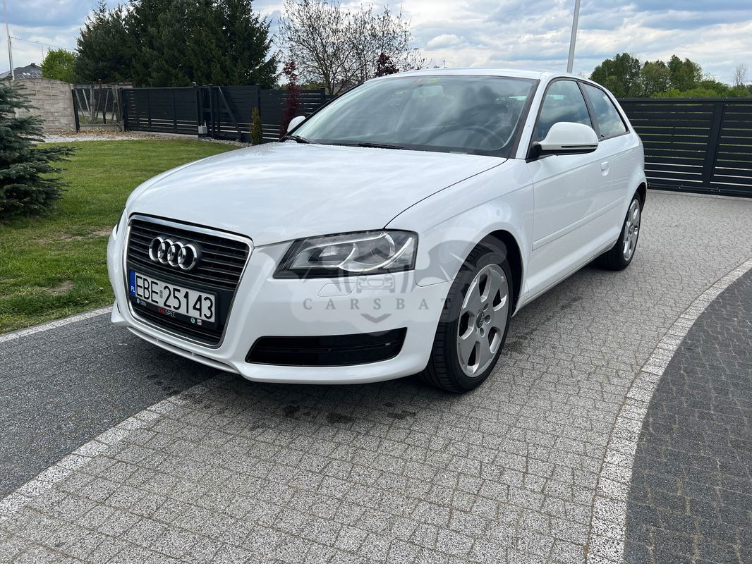 Audi A3 8P 1.6 Ambition 2009