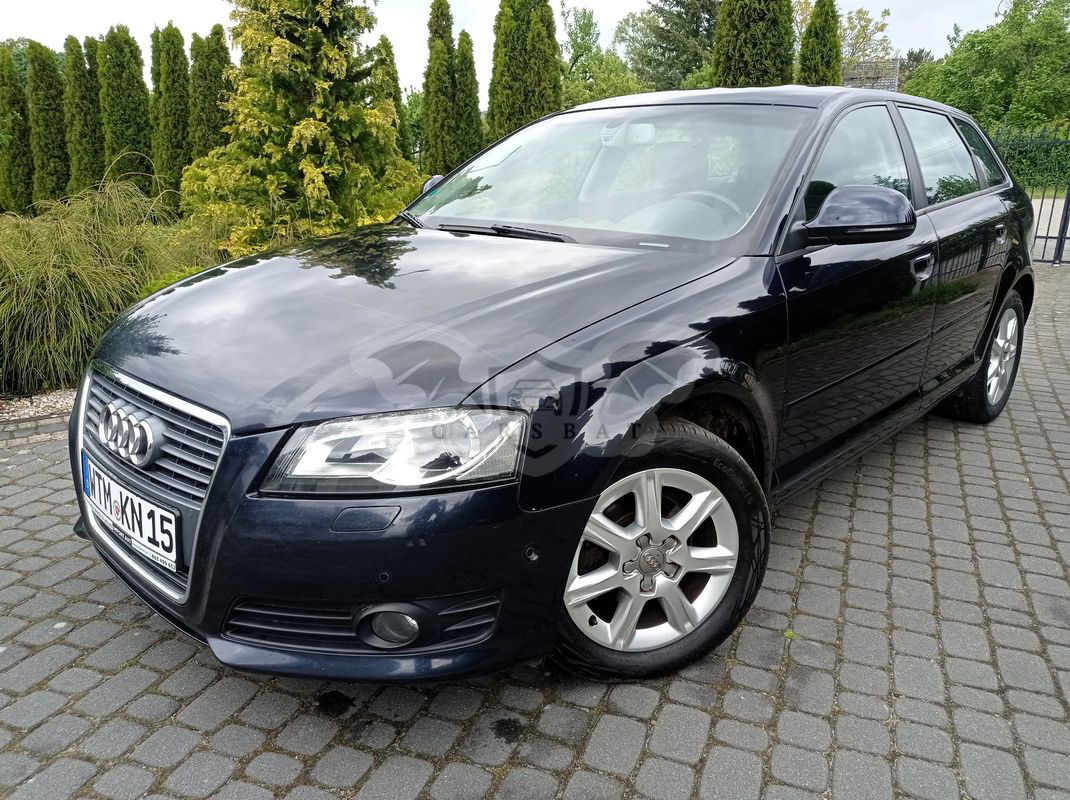 Audi A3 8P 1.6 TDI Ambiente 2009