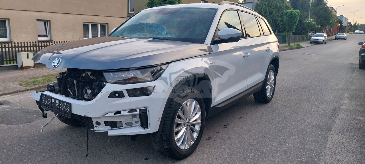 Skoda Kodiaq I 2.0 TDI DSG Tour 2023