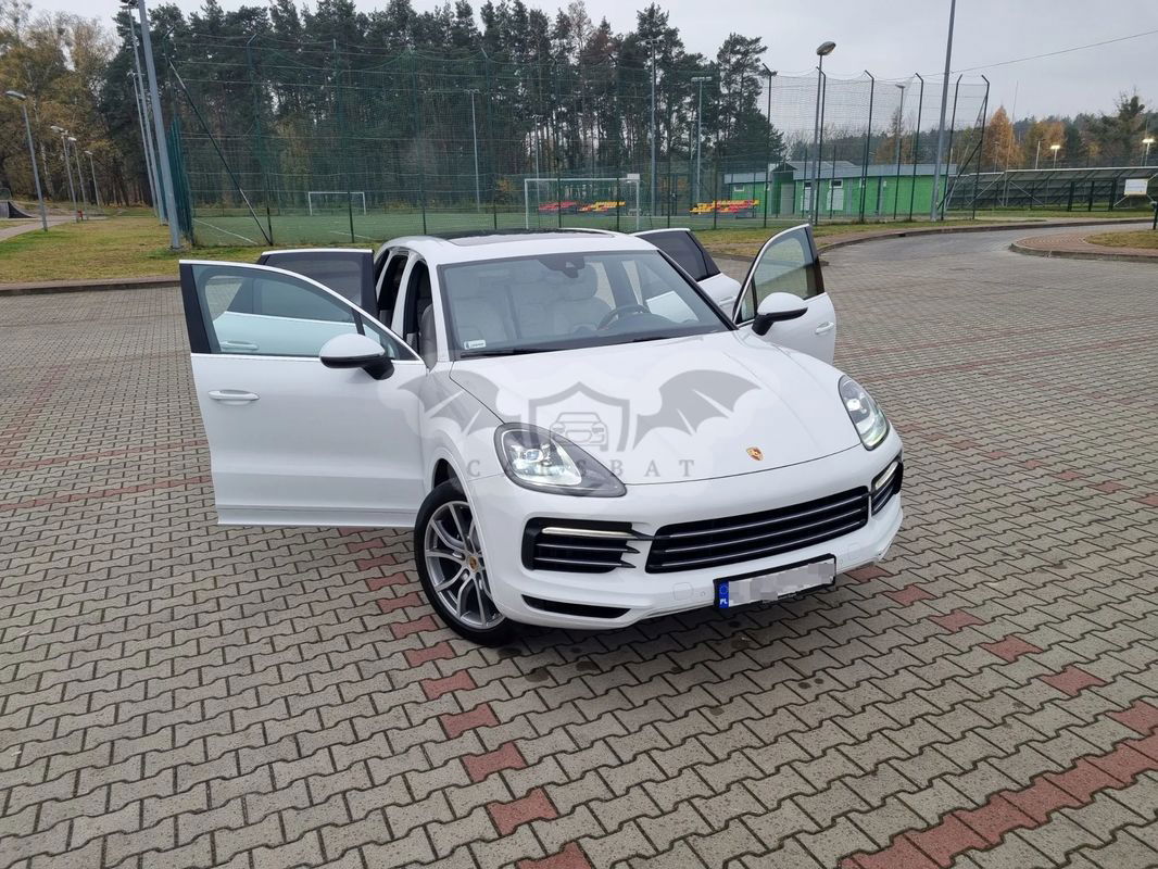 Porsche Cayenne III Platinum Edition 2020