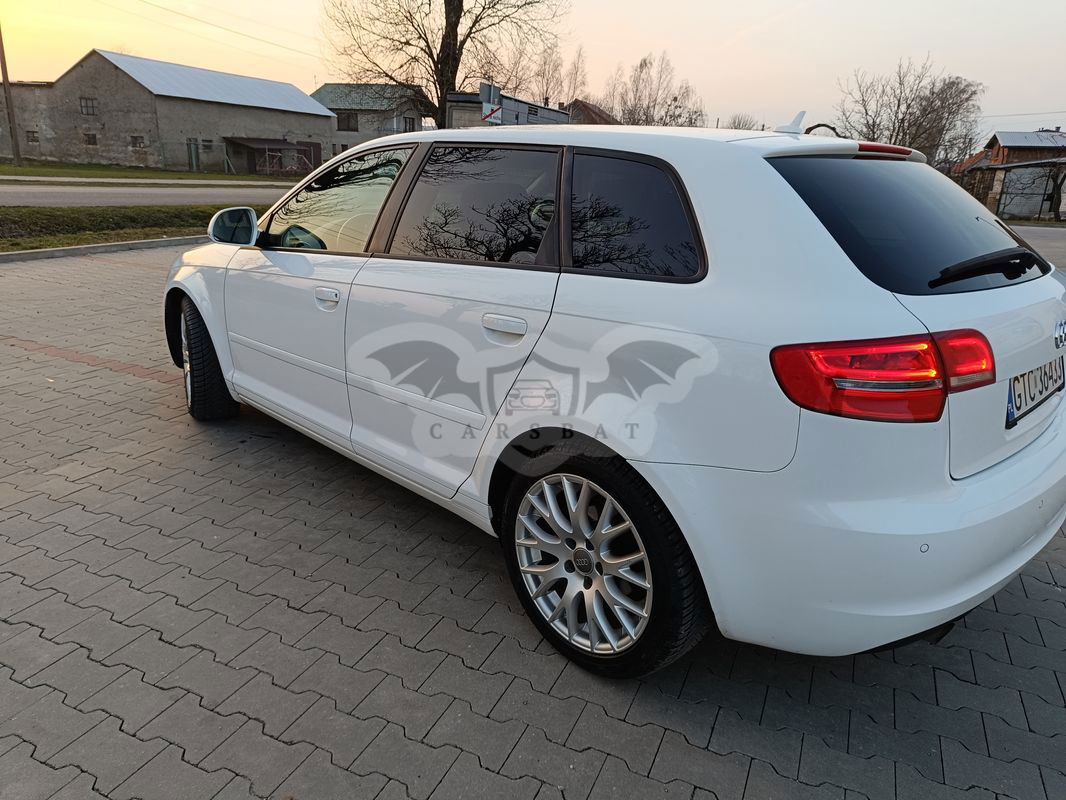 Audi A3 8P 1.6 TDI DPF Attraction 2010