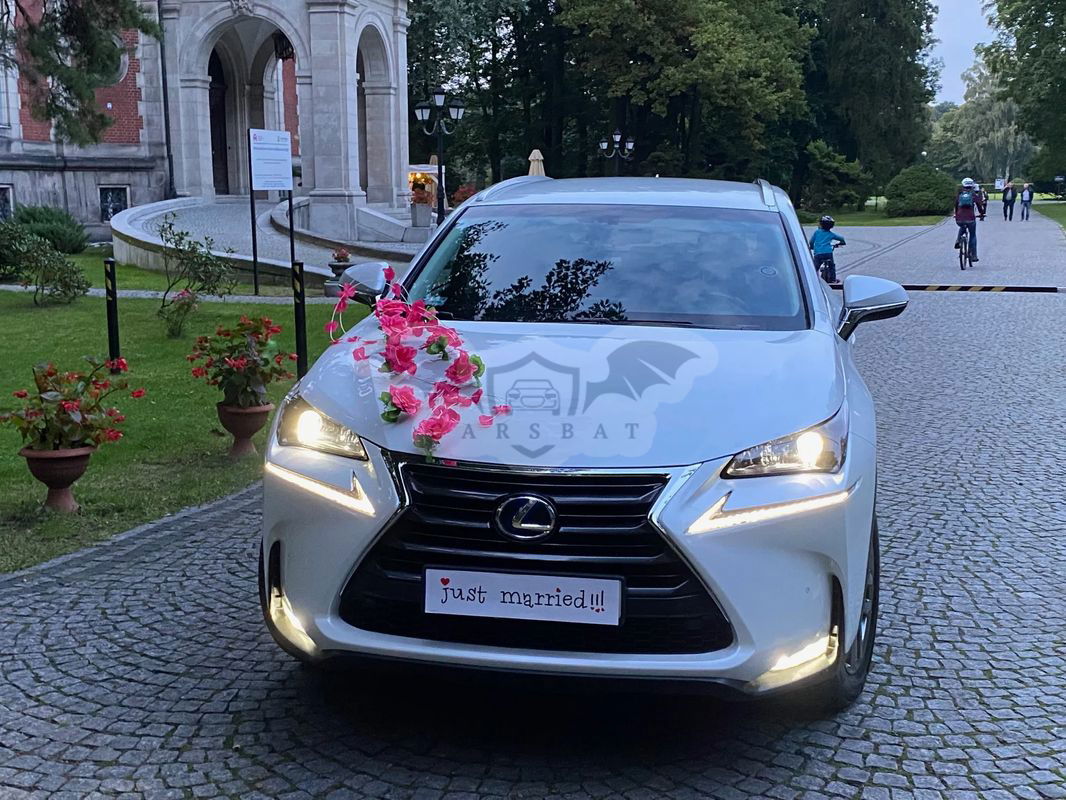 Lexus NX I 2015