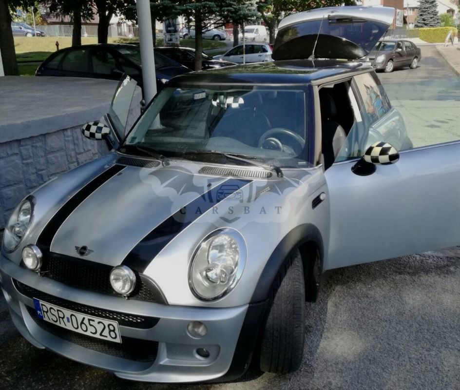 Mini One salt 2005