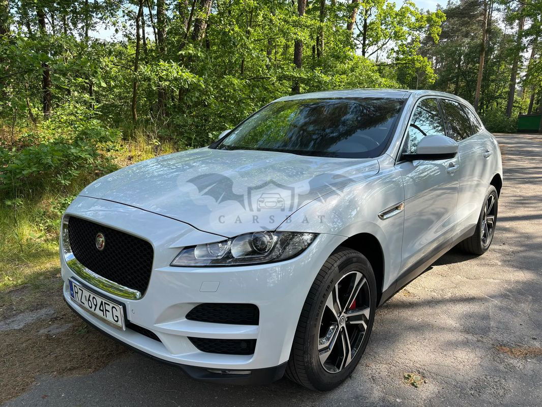 Jaguar F-Pace 2.0 i4P AWD Pure 2020