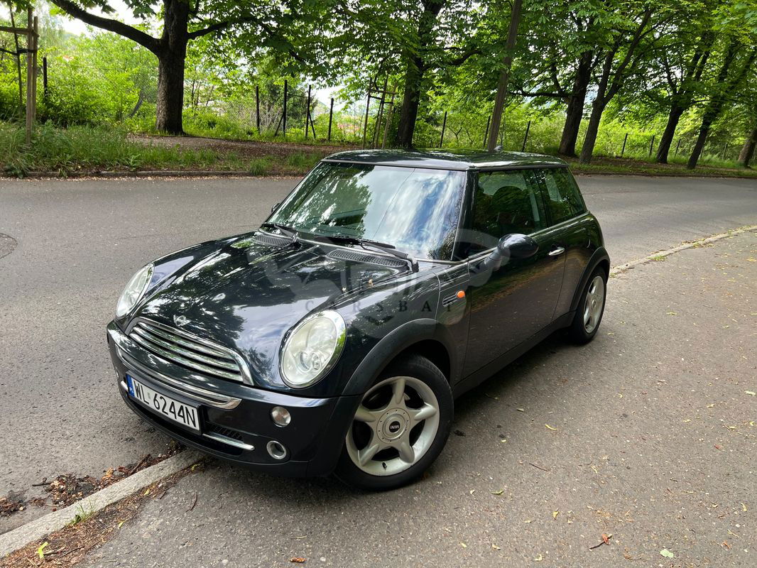 Mini One salt 2004