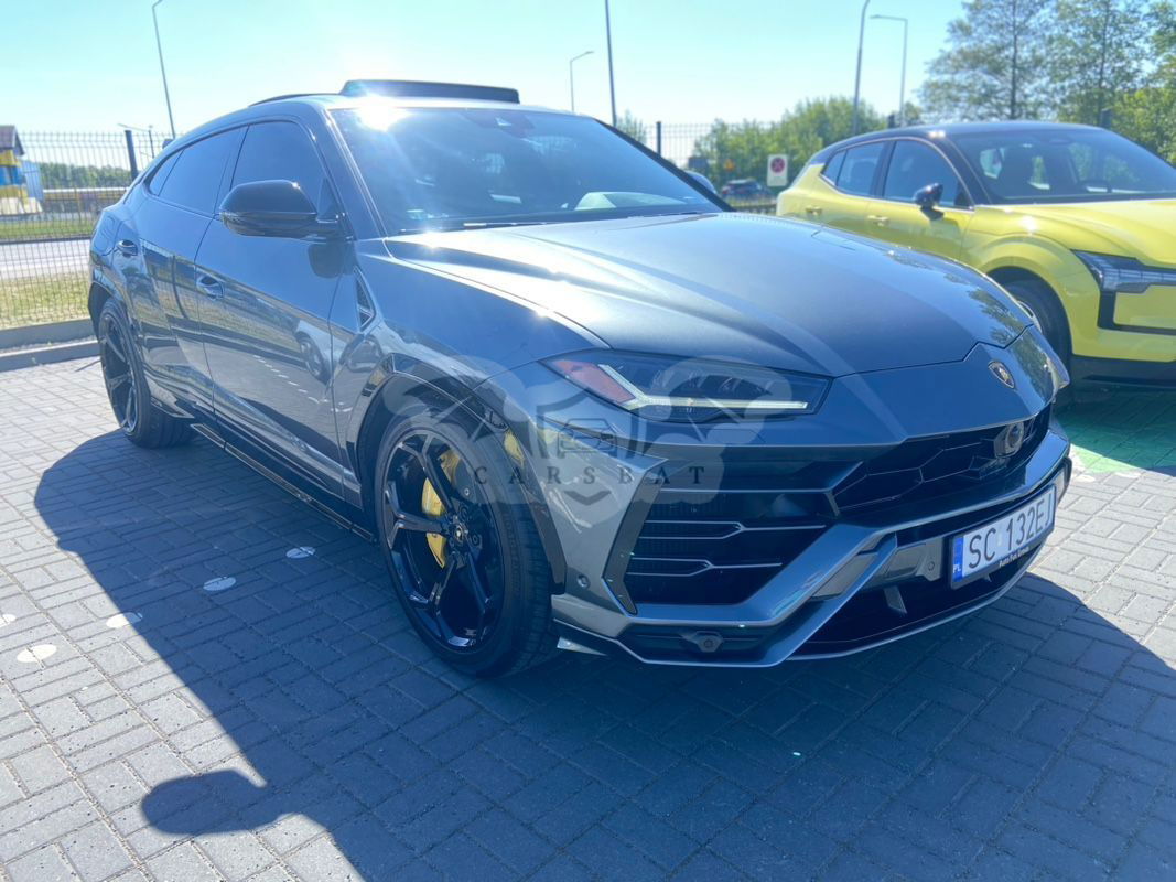 Lamborghini Urus Standard 2019