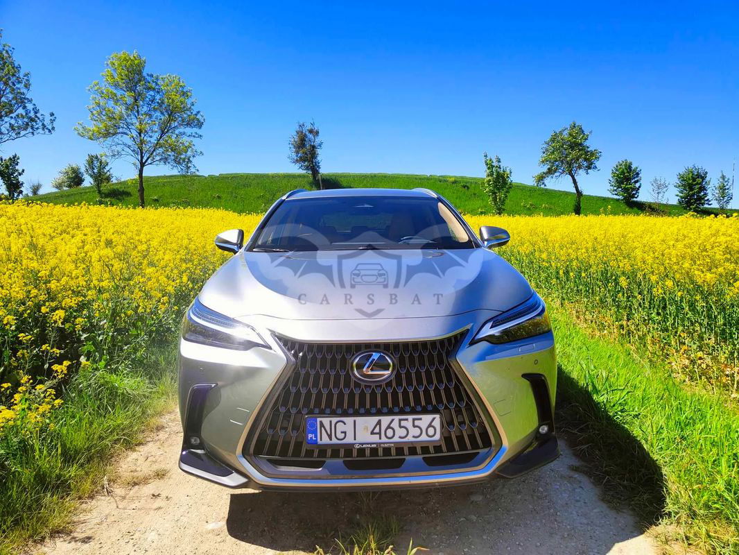 Lexus NX II 2024