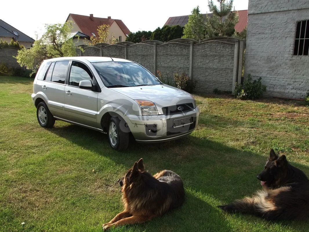 Ford Fusion 2009