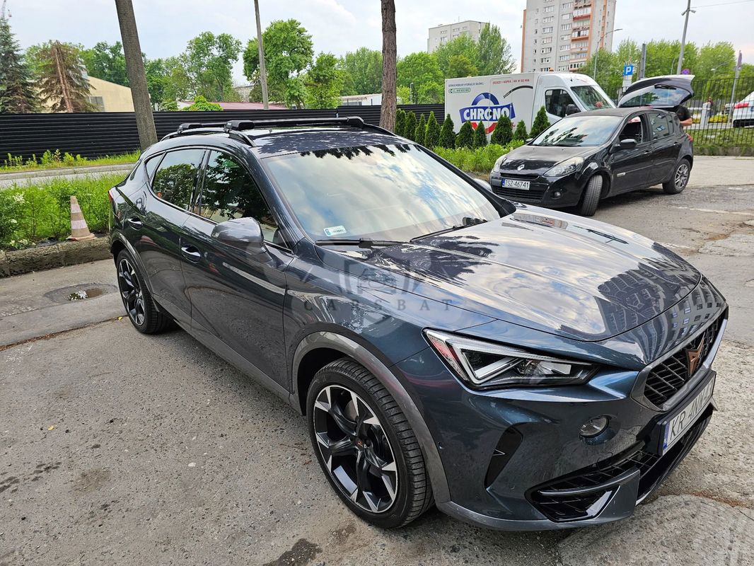 Cupra Formentor 2.0 TSI 4Drive VZ DSG 2020