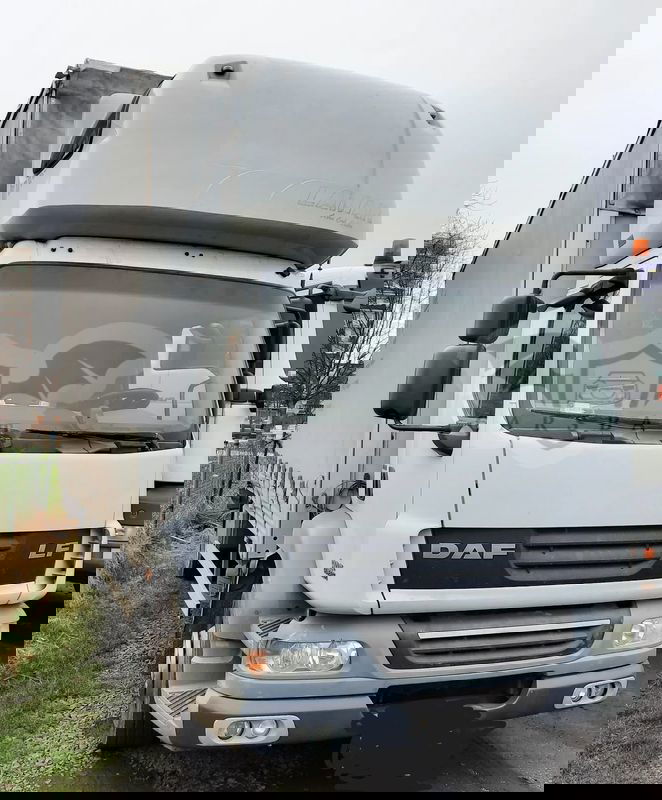 DAF LF 2011