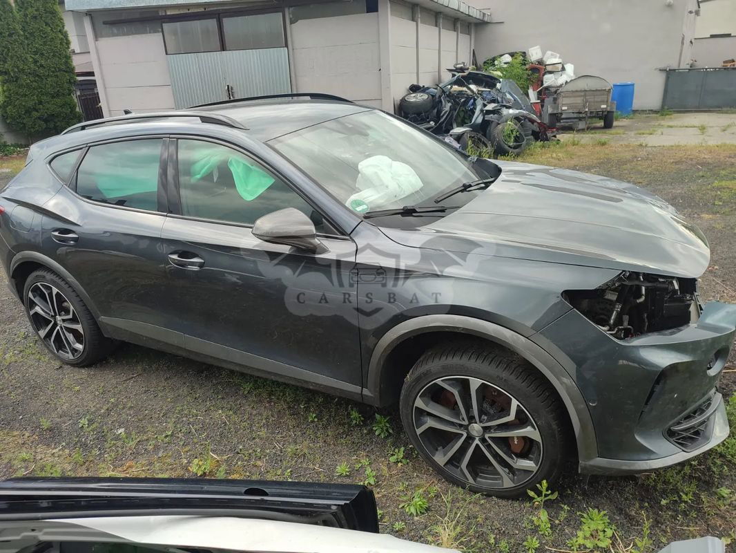 Cupra Formentor 2.0 TSI 4Drive VZ DSG 2020