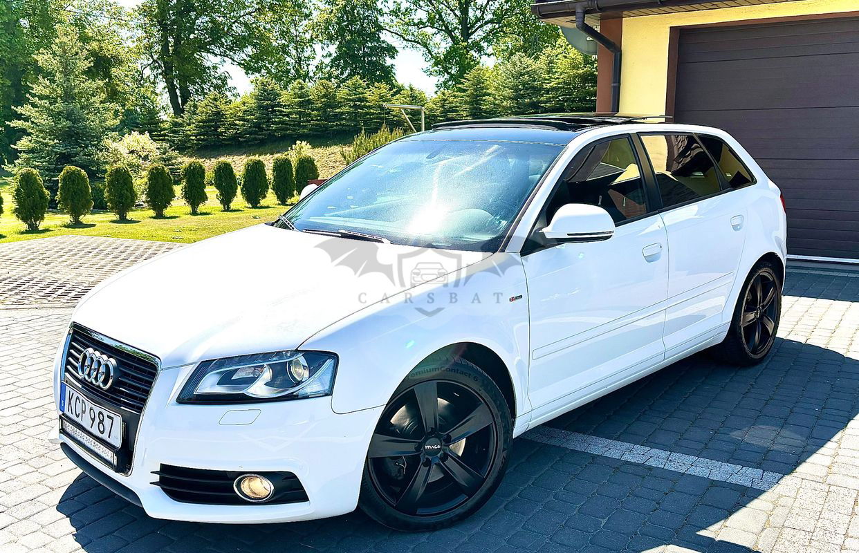 Audi A3 8P 2.0 TDI Sportback DPF S tronic S line Sportpaket (plus) 2009