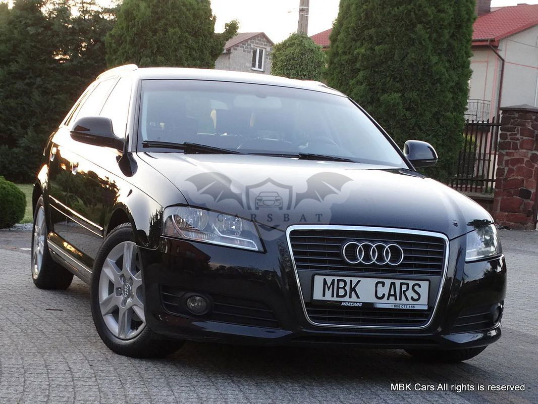 Audi A3 8P 1.6 TDI Sportback DPF Ambition 2010