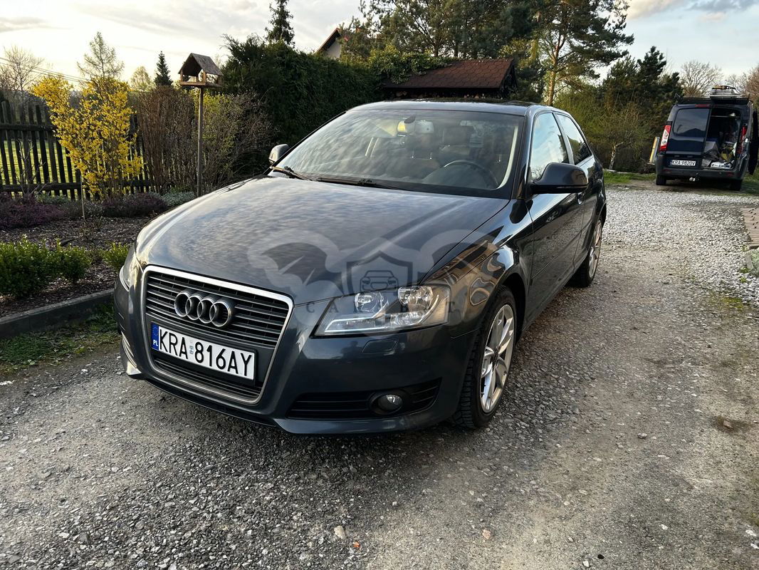 Audi A3 8P 2.0 TDI DPF Attraction 2009