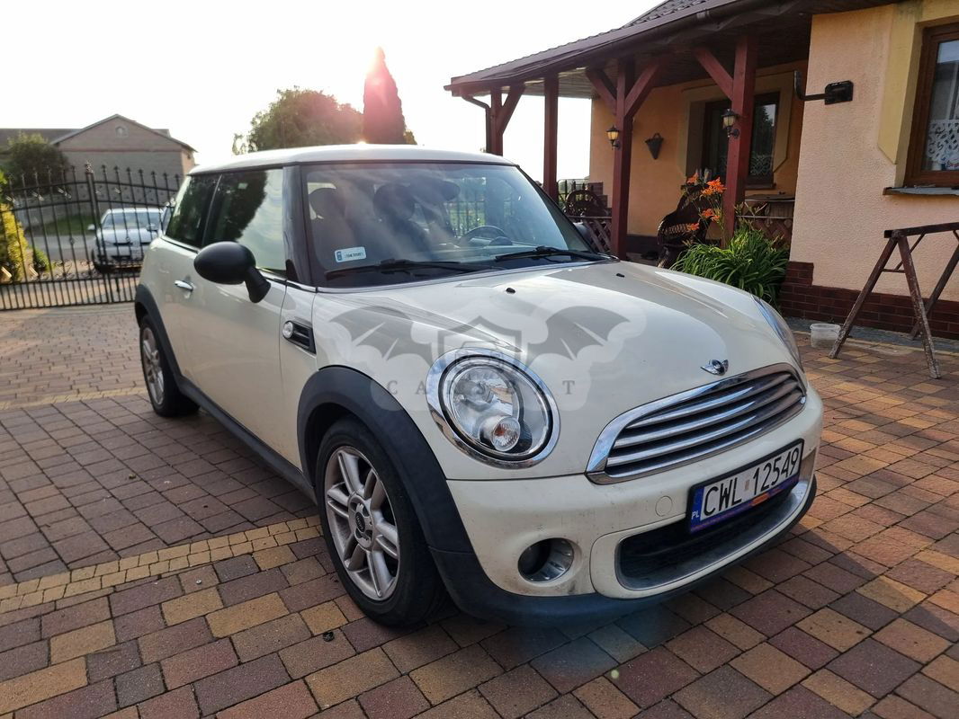Mini One D 2012
