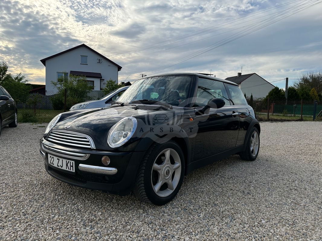 Mini One salt 2002