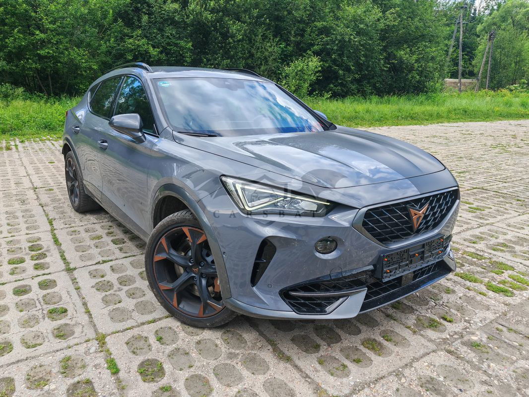 Cupra Formentor VZ 2.0 TSI 4Drive DSG 2020