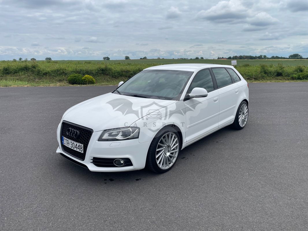 Audi A3 8P 2.0 TDI DPF Quattro Ambition 2009