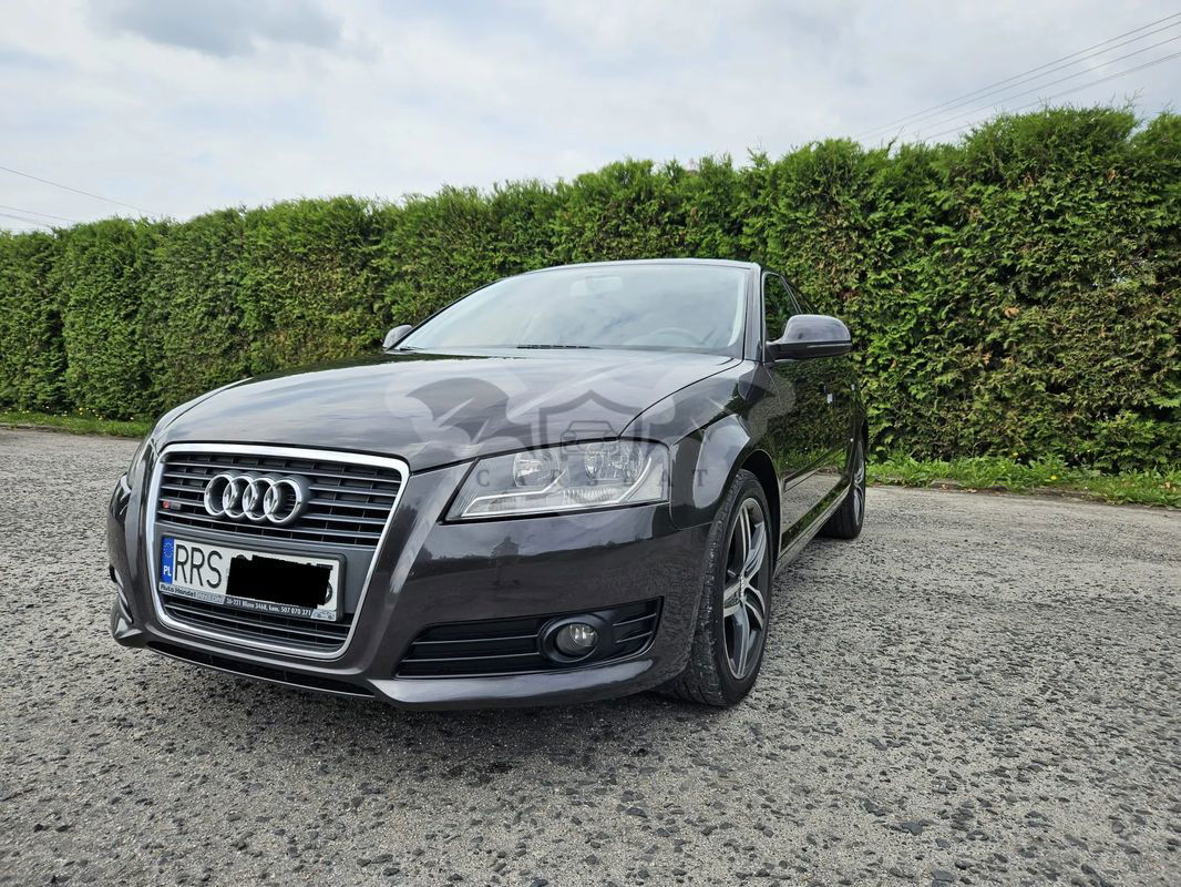 Audi A3 8P 1.9 TDI Sportback Ambiente 2009