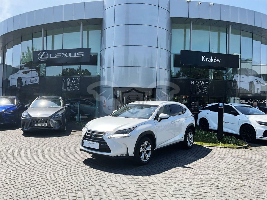 Lexus NX I 2014