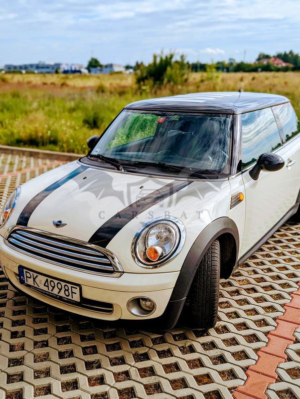 Mini One Standard 2008