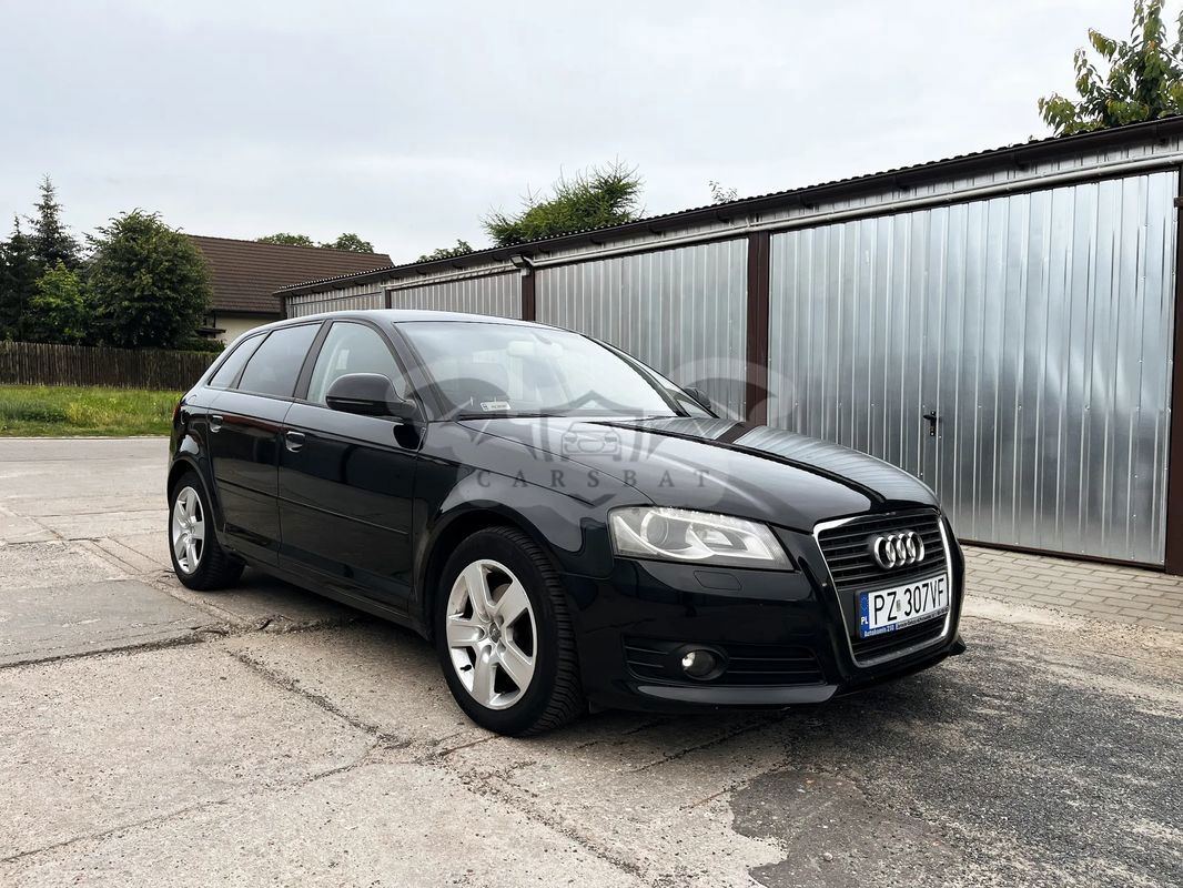Audi A3 8P 1.6 TDI DPF Ambiente 2009