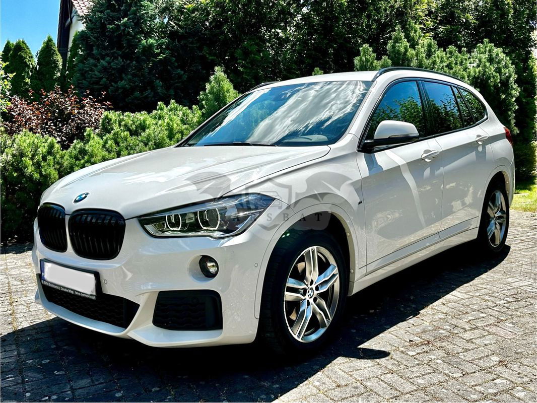 BMW X1 F48 sDrive18d M Sport 2017