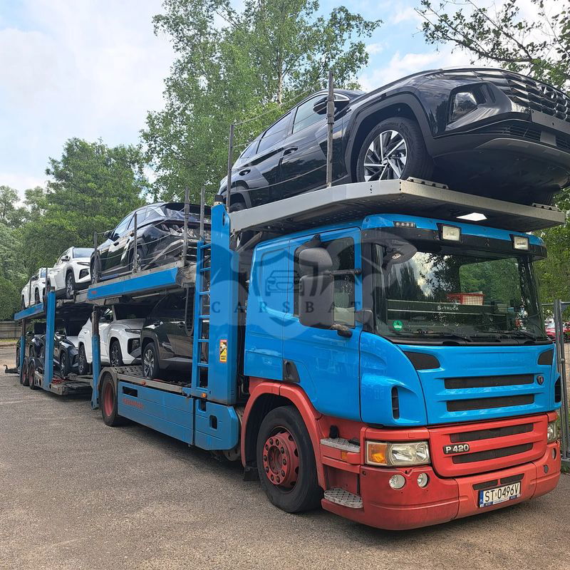 Scania P-series 2012
