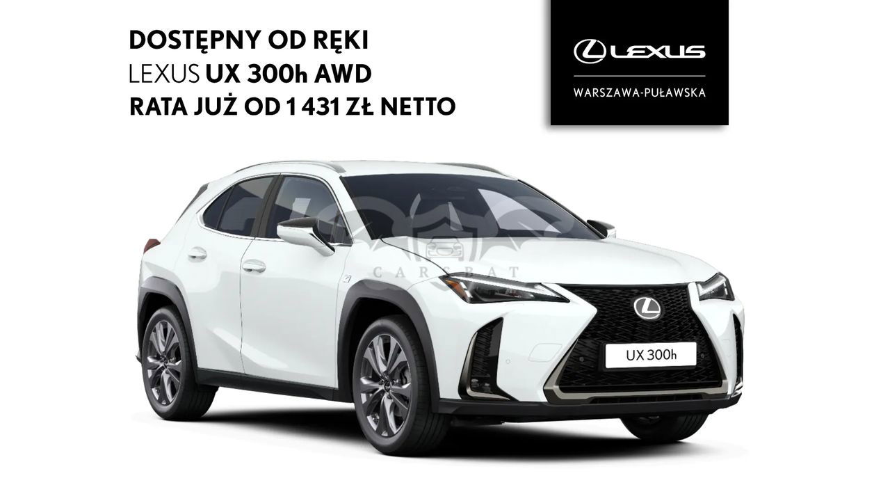 Lexus UX 300h F Sport Design AWD 2024