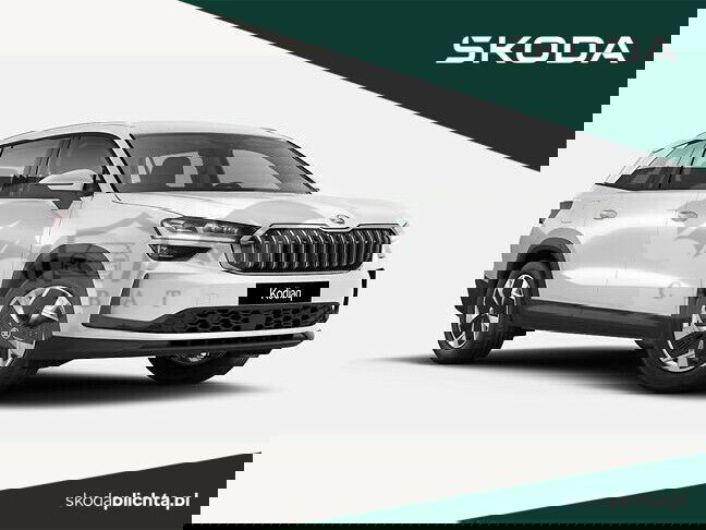 Skoda Kodiaq II 2.0 TDI 4x4 Selection DSG 2024