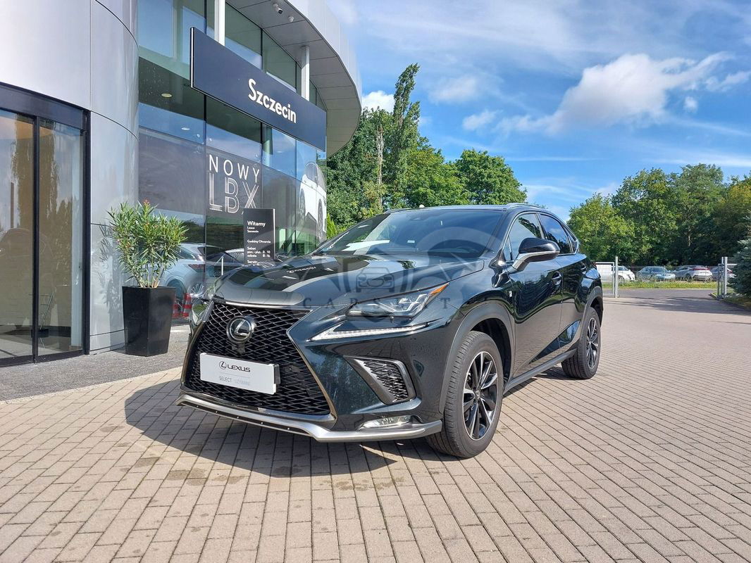 Lexus NX I 300 GPF F Sport Edition AWD 2020
