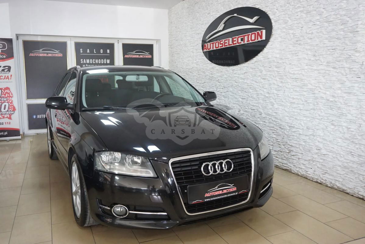 Audi A3 8P 2.0 TDI DPF Attraction 2010