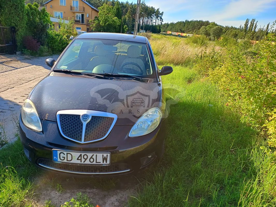 Lancia Ypsilon 1.4 8V Platino (4 os.) 2009