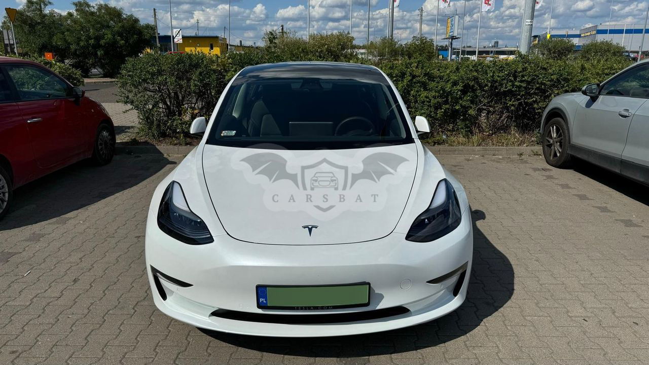 Tesla Model 3 Performance AWD 2021