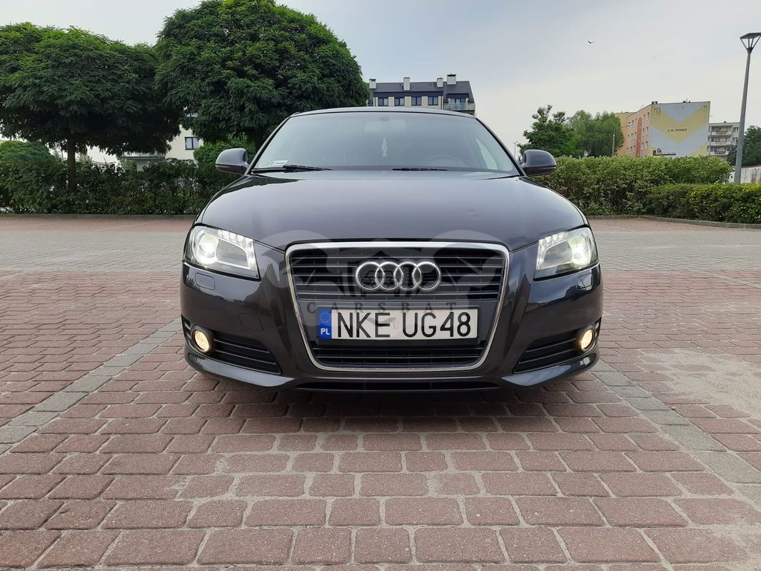 Audi A3 8P 2010