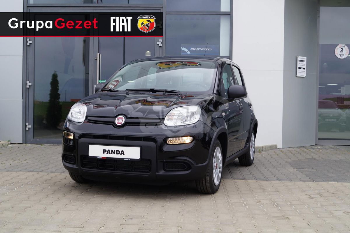 Fiat Panda III 2024