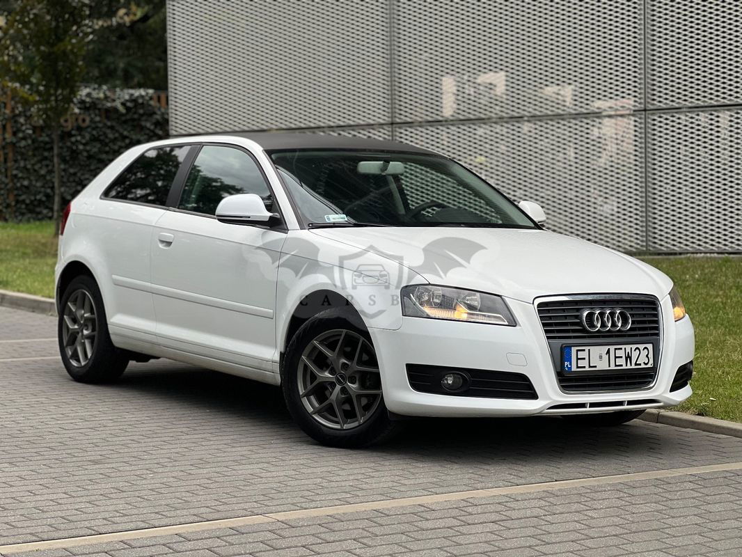 Audi A3 8P 1.6 Ambition 2009