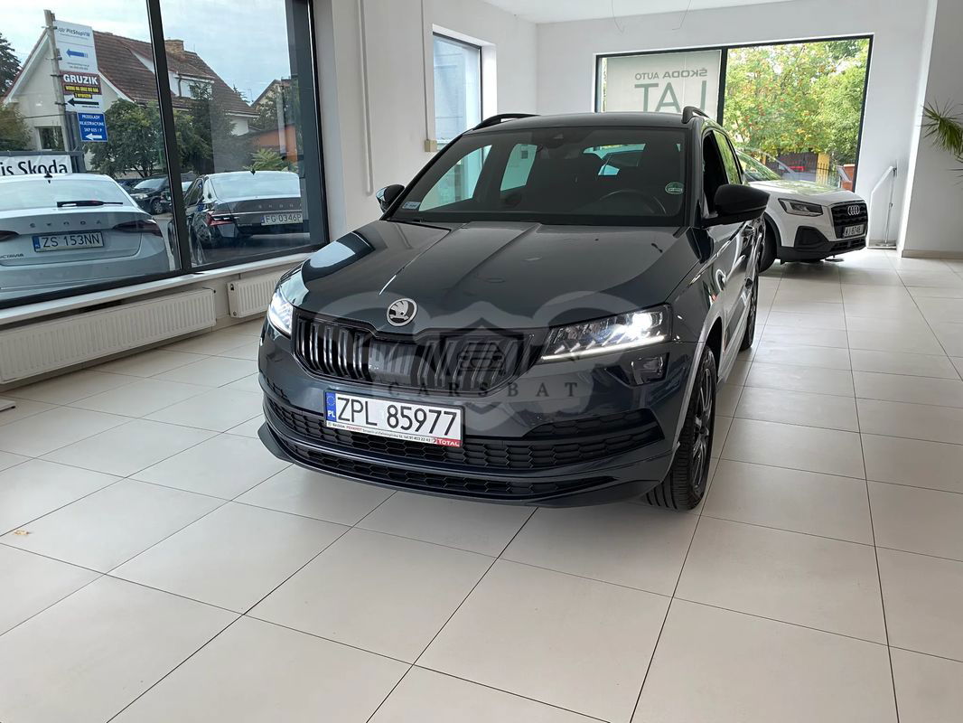 Skoda Karoq 2.0 TDI SCR 4x2 Sportline 2019